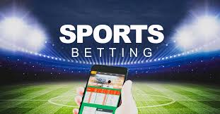 Slots With Gamble Features & Bonus Multipliers 20
