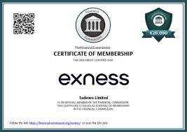 Understanding the Exness Owner A Deep Dive into the Brokerage